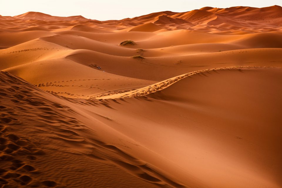 Desert2